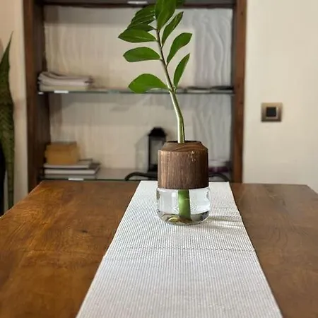 La Casa Vieja *